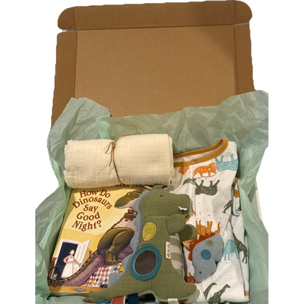 Baby‎ Boy Shower Gift, Dinosaur Themed Present, Blanket, Plush, Book & Bodysuits